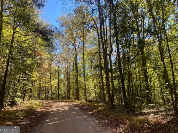 $999,900 | 90-acres English Road, Forsyth, GA 31029