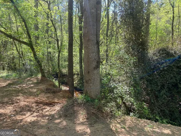 $999,900 | 90-acres English Road, Forsyth, GA 31029