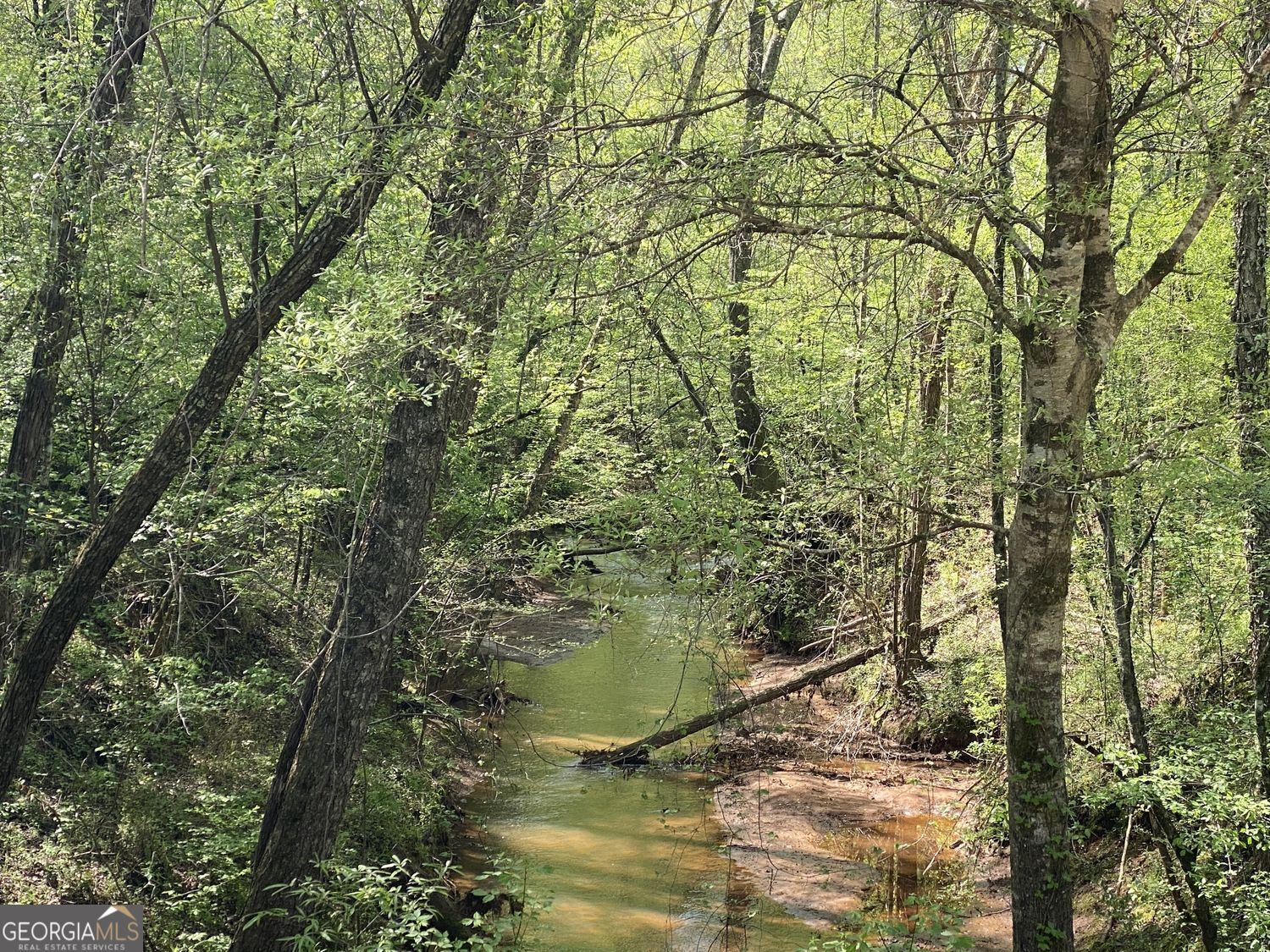 90-acres English Road Forsyth, GA 31029 - Photo 16 of 55