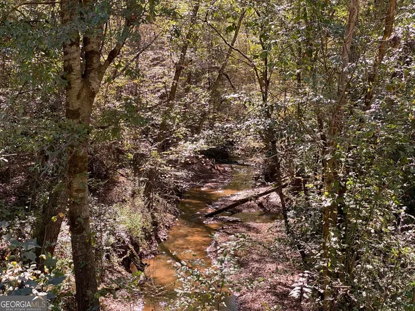 $999,900 | 90-acres English Road, Forsyth, GA 31029