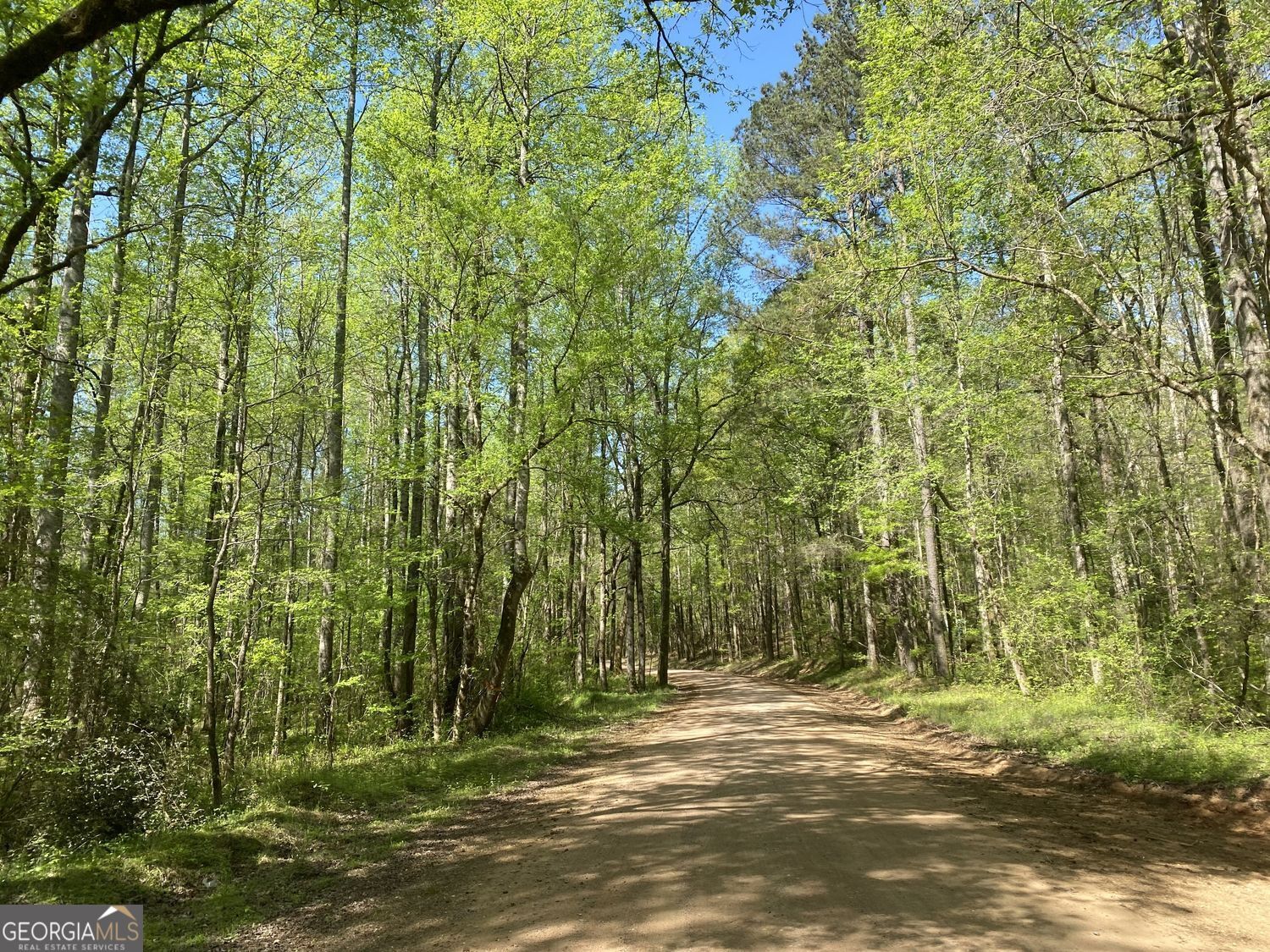 90-acres English Road Forsyth, GA 31029 - Photo 17 of 55