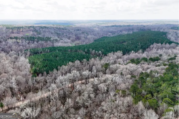 $999,900 | 90-acres English Road, Forsyth, GA 31029