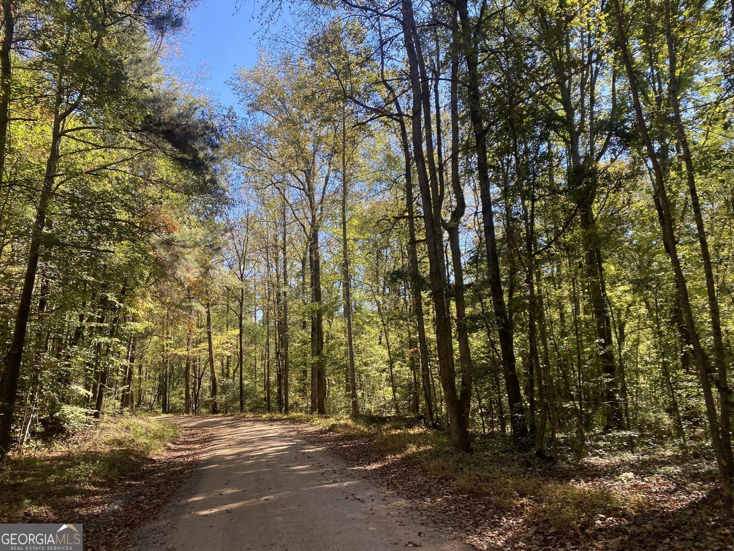 90-acres English Road Forsyth, GA 31029 - Photo 18 of 55