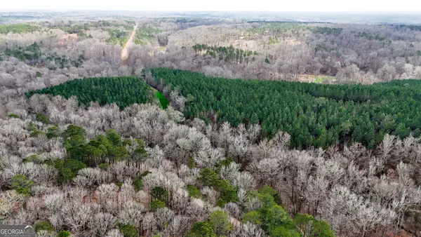 $999,900 | 90-acres English Road, Forsyth, GA 31029