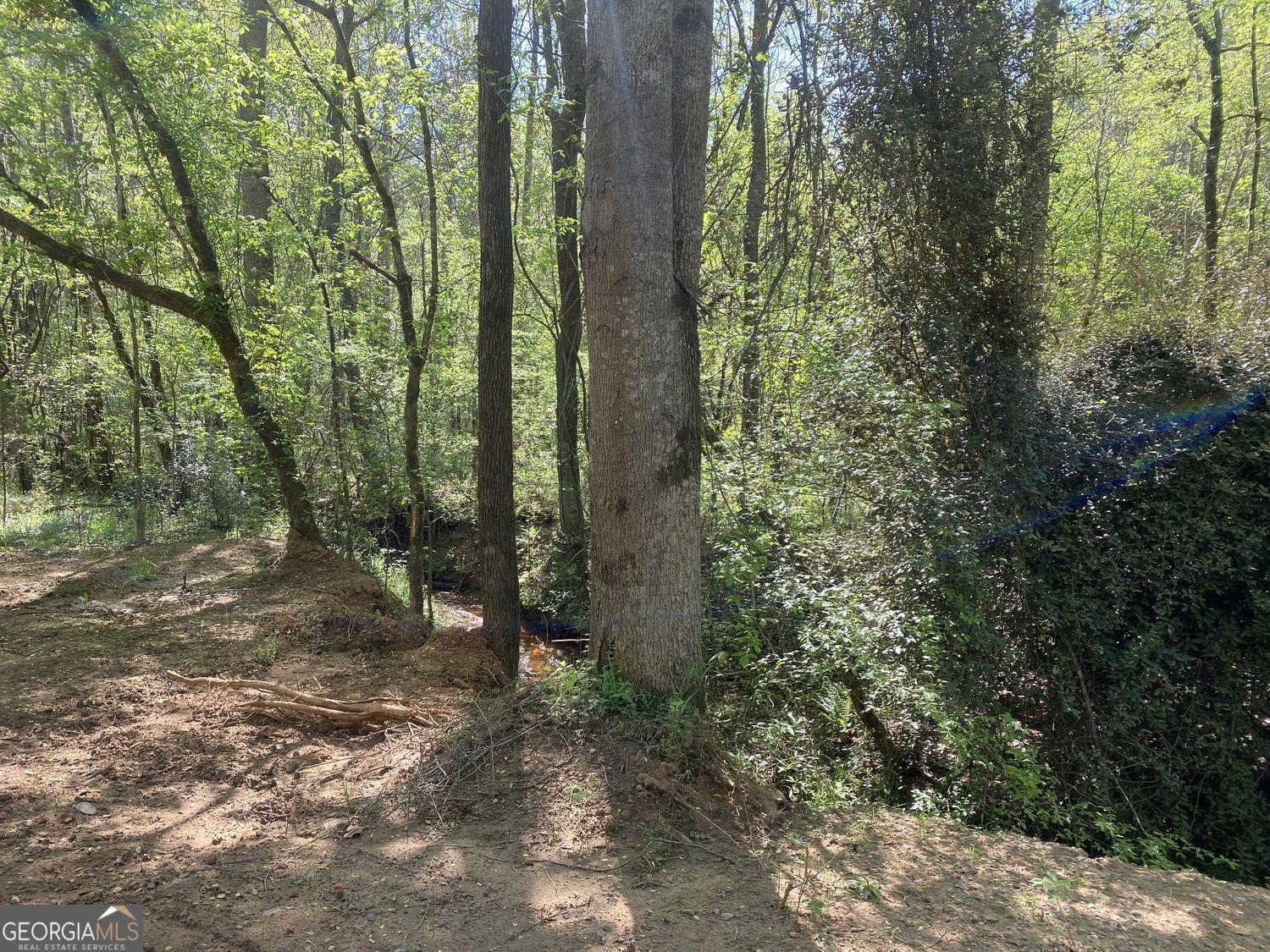 90-acres English Road Forsyth, GA 31029 - Photo 19 of 55