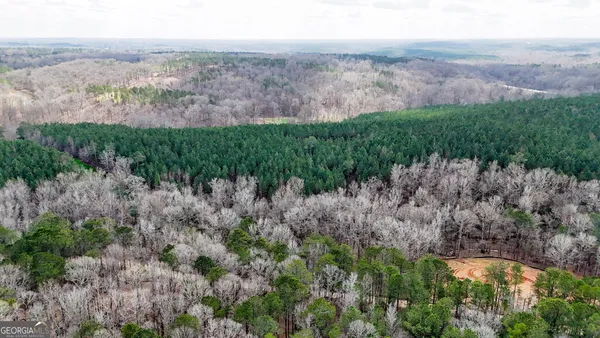 $999,900 | 90-acres English Road, Forsyth, GA 31029