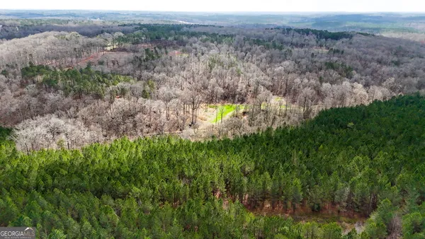 $999,900 | 90-acres English Road, Forsyth, GA 31029