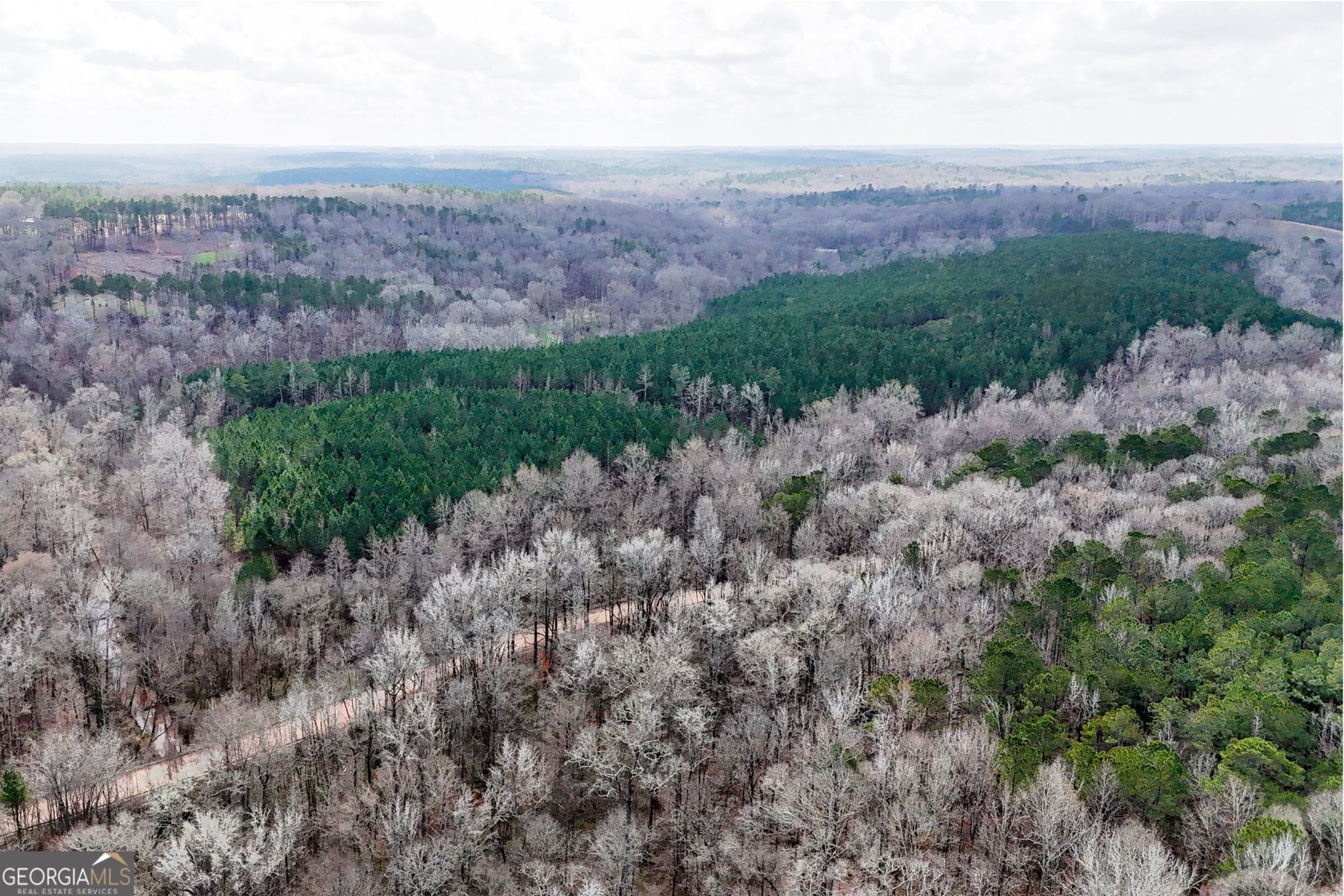 90-acres English Road Forsyth, GA 31029 - Photo 21 of 55