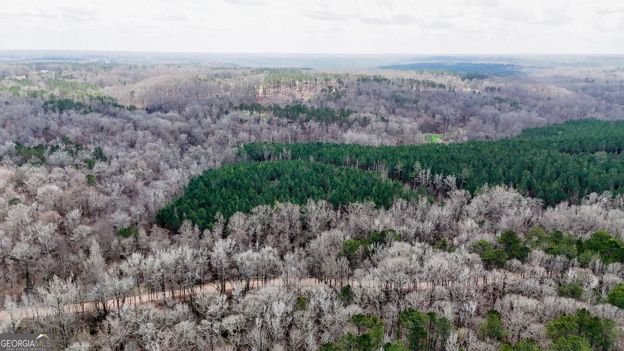 90-acres English Road Forsyth, GA 31029 - Photo 22 of 55