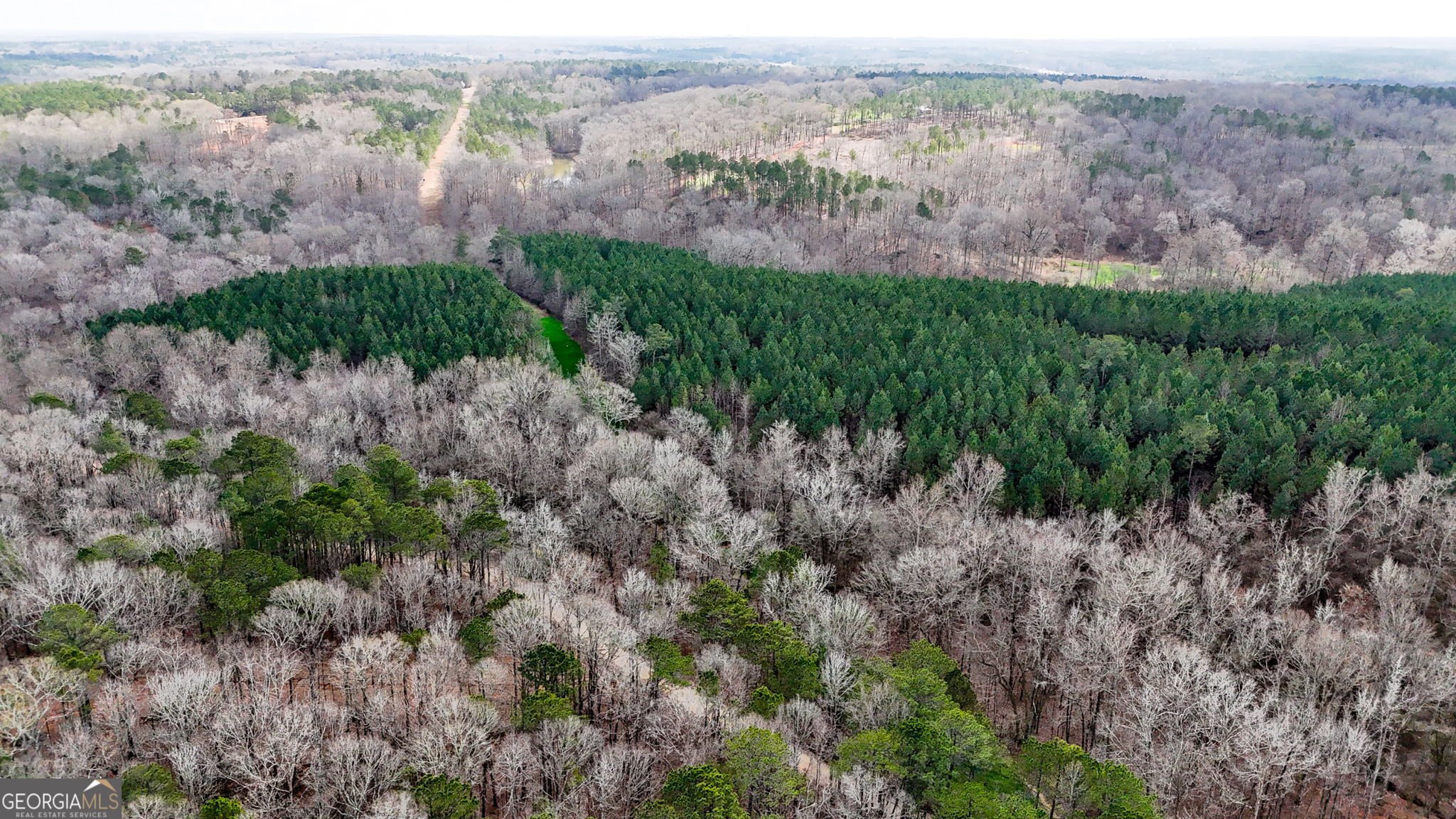 90-acres English Road Forsyth, GA 31029 - Photo 23 of 55