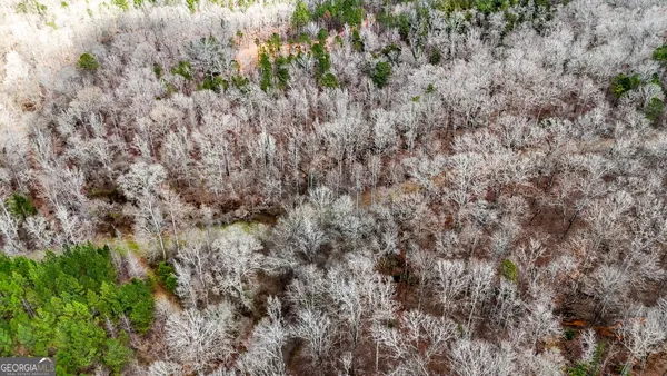 $999,900 | 90-acres English Road, Forsyth, GA 31029