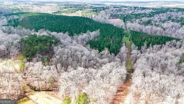 $999,900 | 90-acres English Road, Forsyth, GA 31029