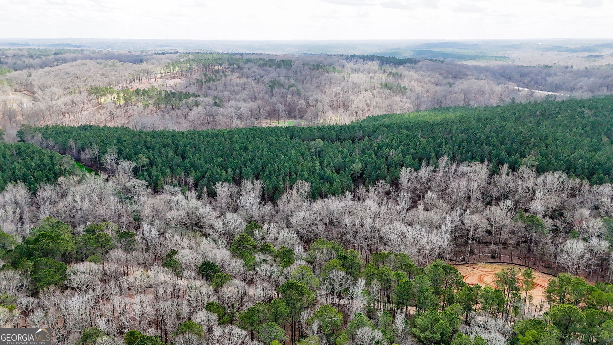 90-acres English Road Forsyth, GA 31029 - Photo 24 of 55