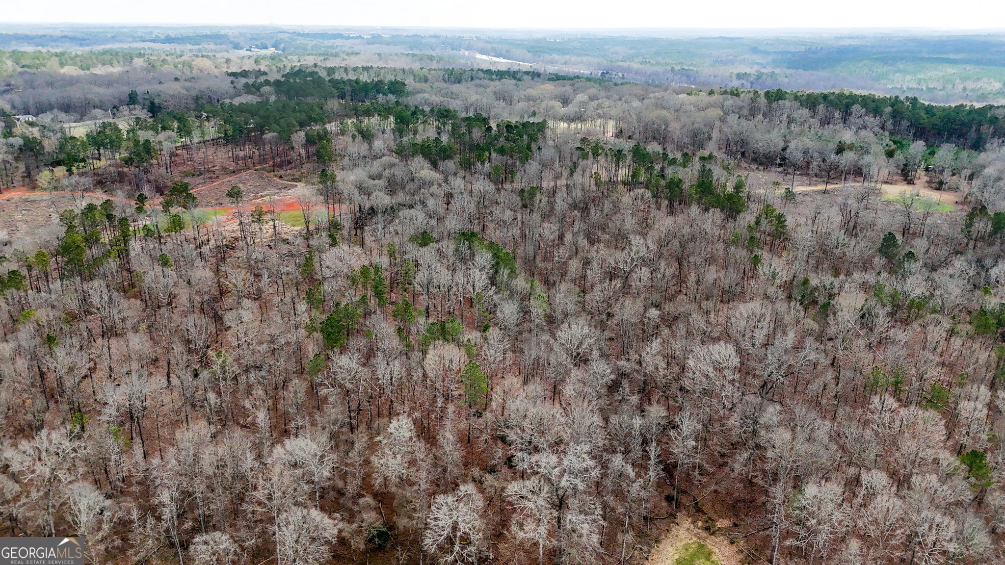 90-acres English Road Forsyth, GA 31029 - Photo 26 of 55