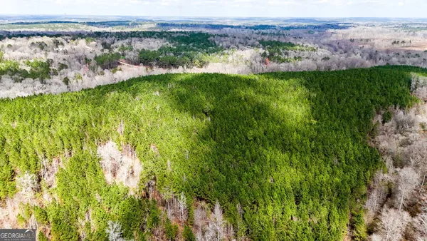 $999,900 | 90-acres English Road, Forsyth, GA 31029