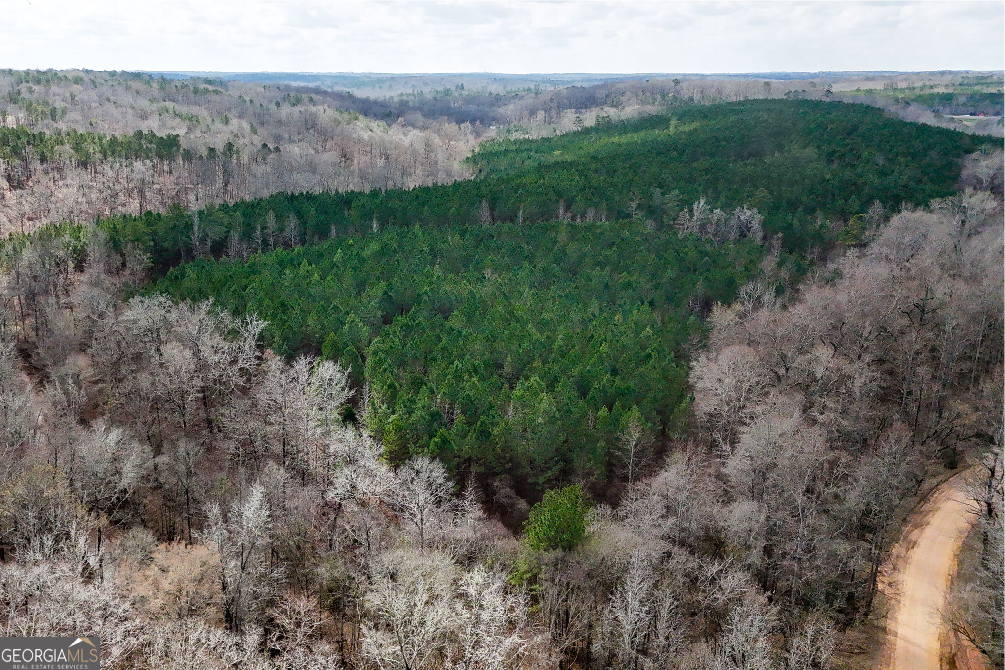 90-acres English Road Forsyth, GA 31029 - Photo 29 of 55