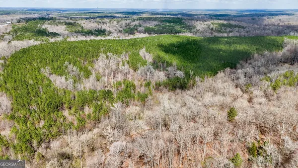 $999,900 | 90-acres English Road, Forsyth, GA 31029