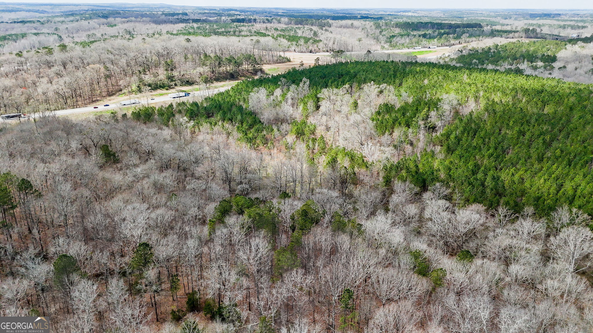 90-acres English Road Forsyth, GA 31029 - Photo 30 of 55