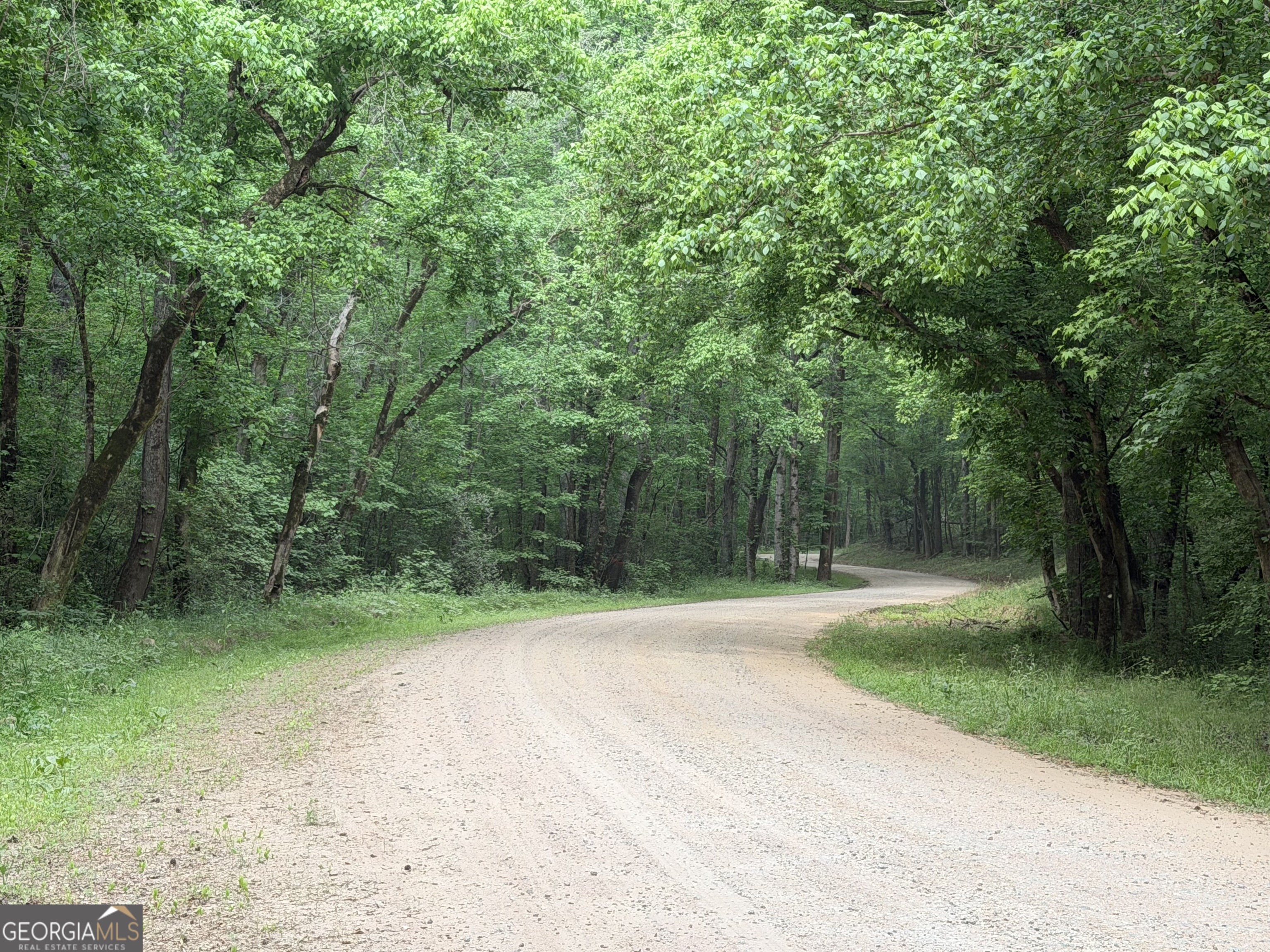 90-acres English Road Forsyth, GA 31029 - Photo 3 of 55