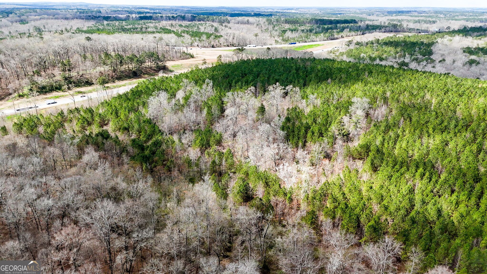 90-acres English Road Forsyth, GA 31029 - Photo 31 of 55