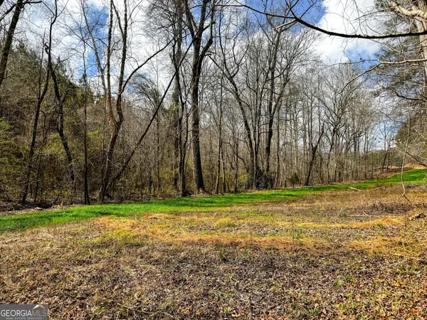 $999,900 | 90-acres English Road, Forsyth, GA 31029