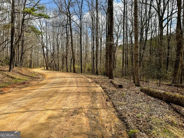 $999,900 | 90-acres English Road, Forsyth, GA 31029