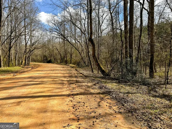 $999,900 | 90-acres English Road, Forsyth, GA 31029