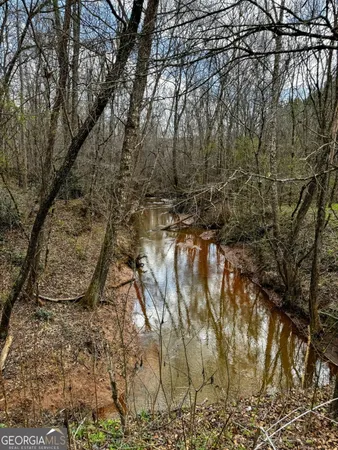 $999,900 | 90-acres English Road, Forsyth, GA 31029