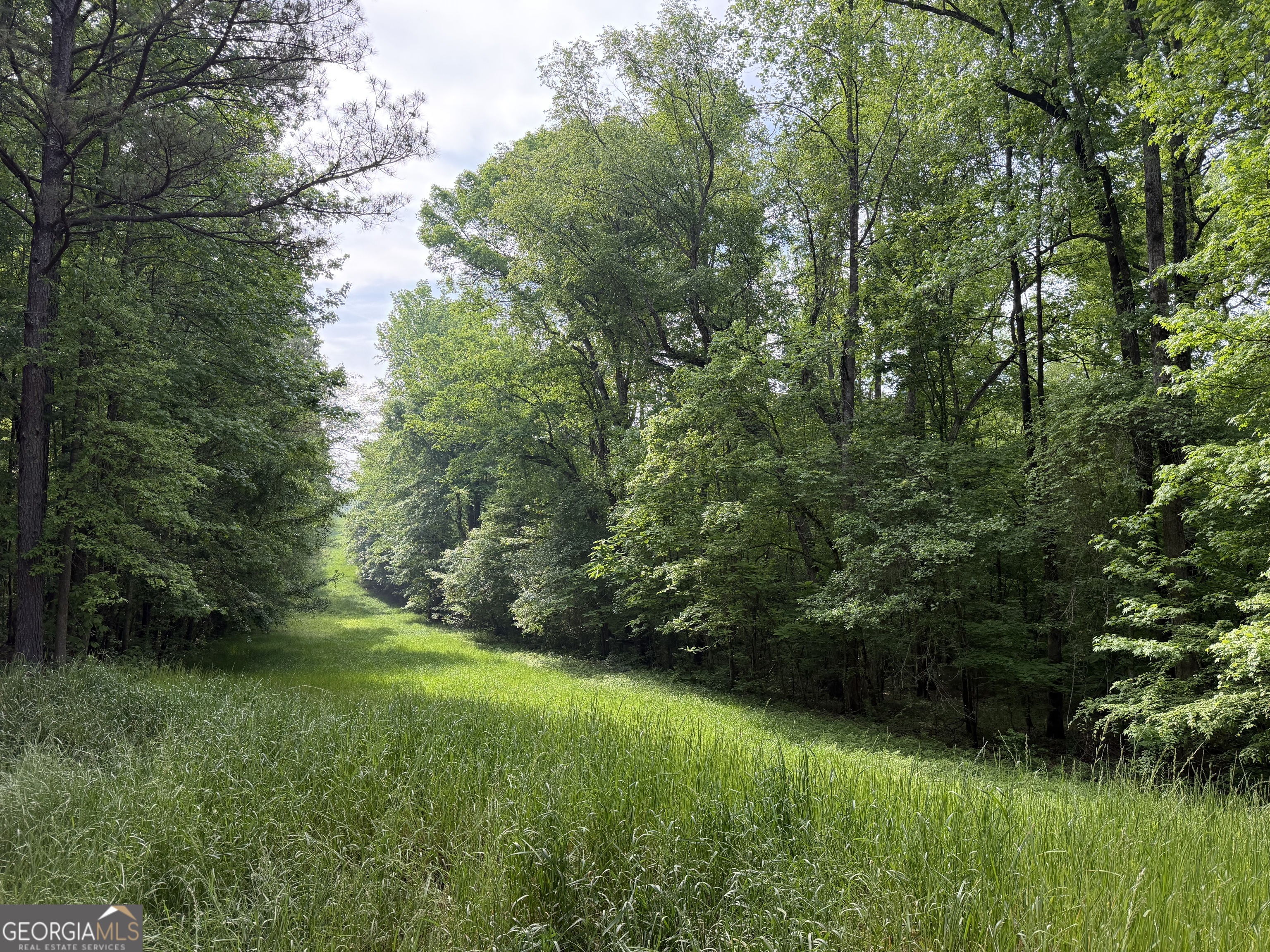 90-acres English Road Forsyth, GA 31029 - Photo 4 of 55