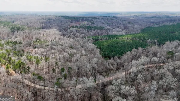 a view of a yard with plants and trees