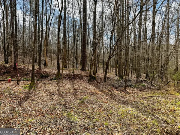 $999,900 | 90-acres English Road, Forsyth, GA 31029