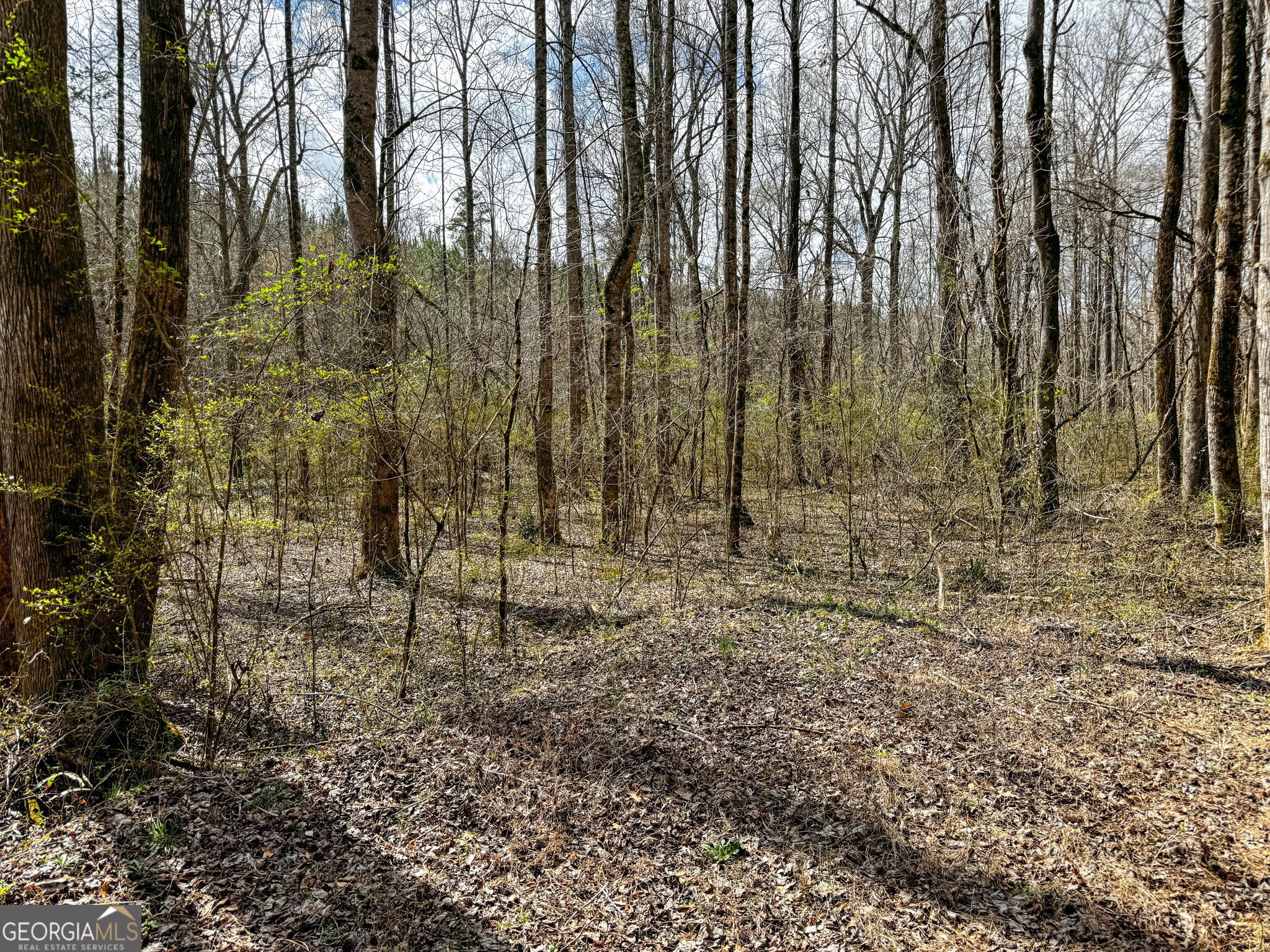 90-acres English Road Forsyth, GA 31029 - Photo 41 of 55