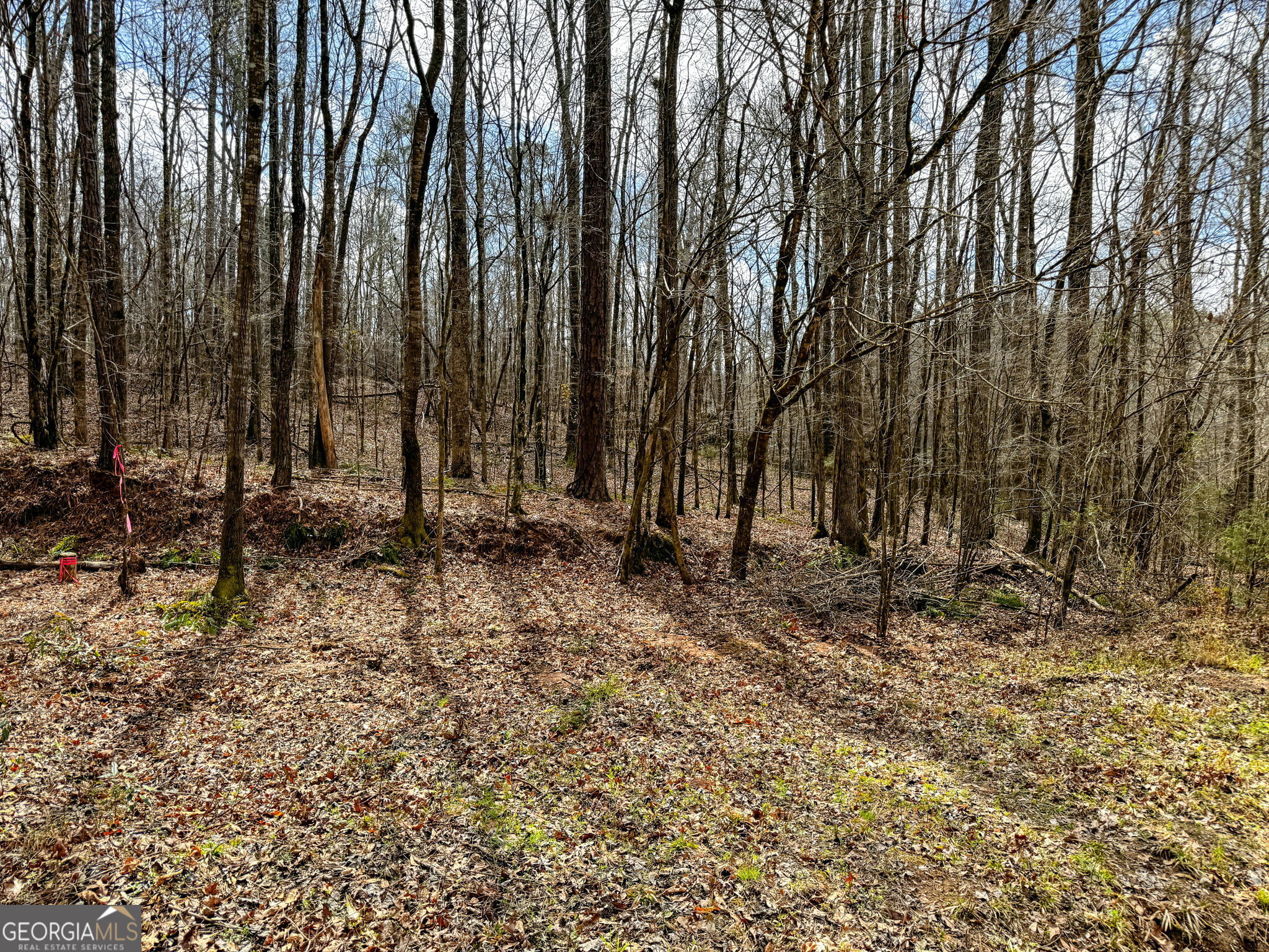 90-acres English Road Forsyth, GA 31029 - Photo 45 of 55