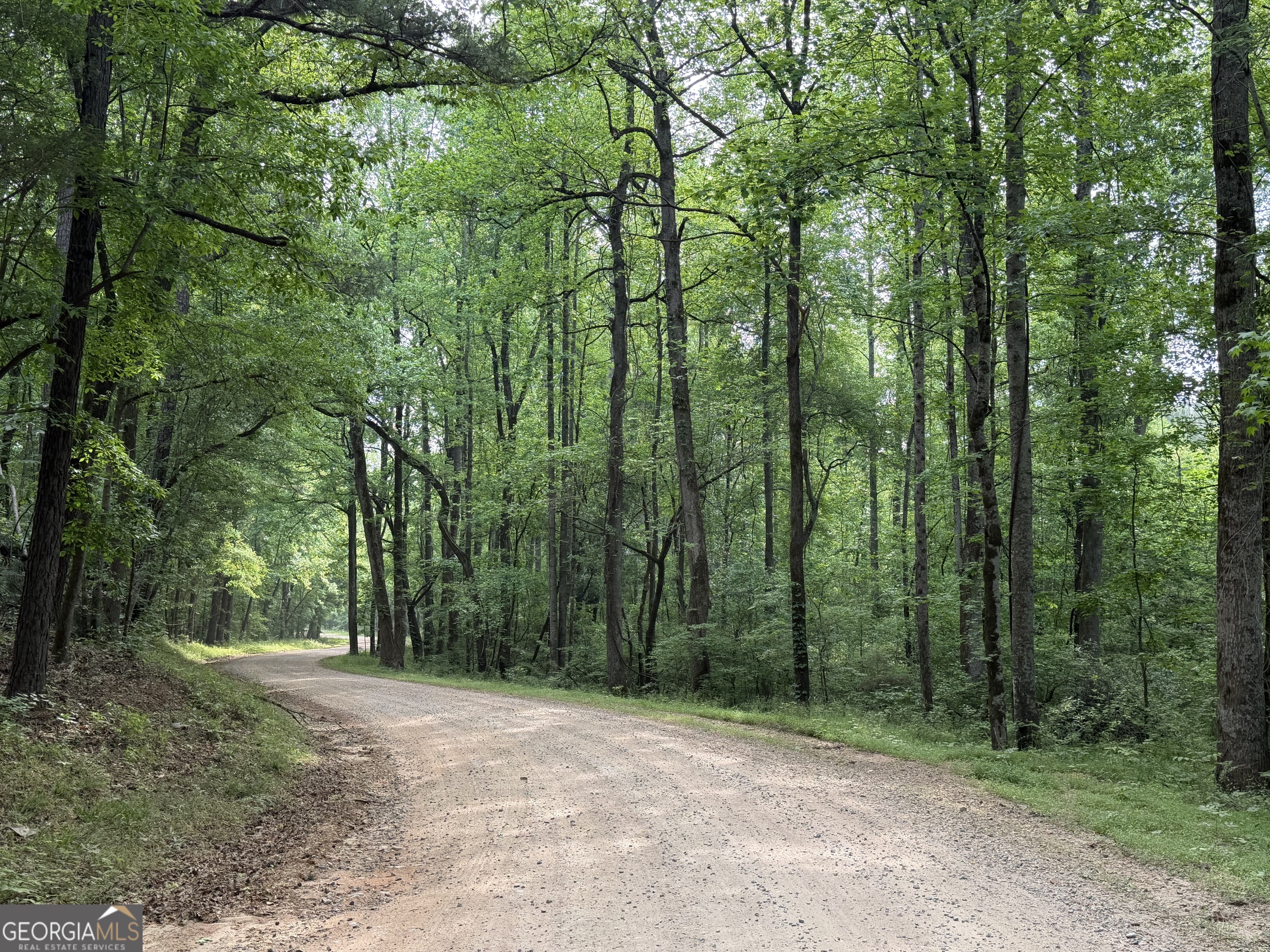 90-acres English Road Forsyth, GA 31029 - Photo 48 of 55
