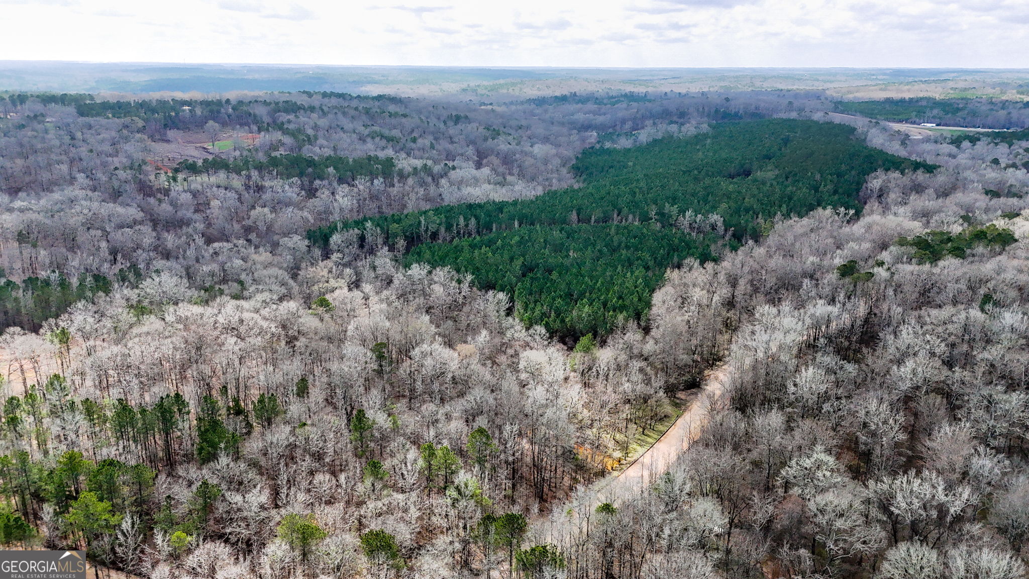 90-acres English Road Forsyth, GA 31029 - Photo 5 of 55