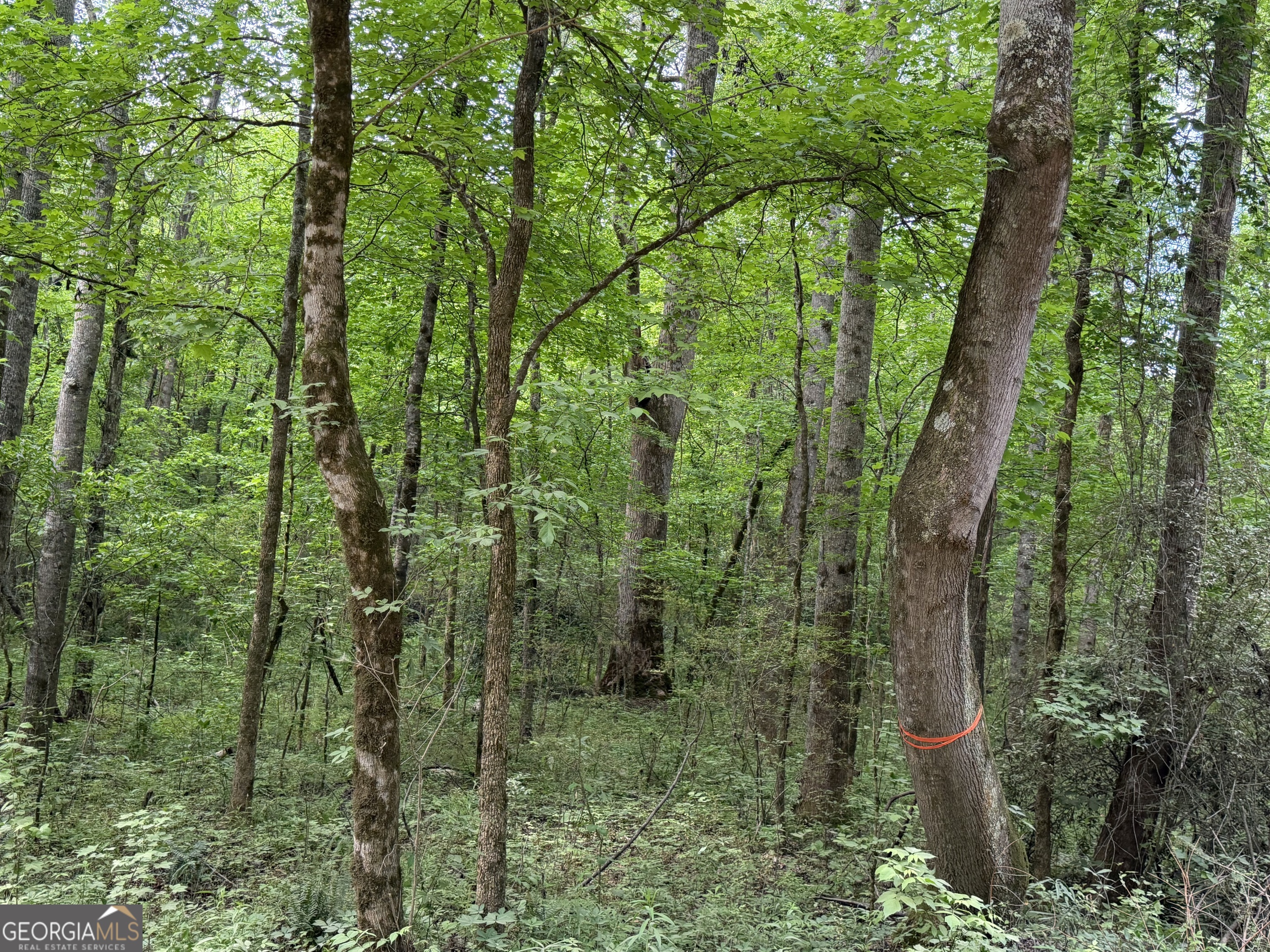 90-acres English Road Forsyth, GA 31029 - Photo 51 of 55