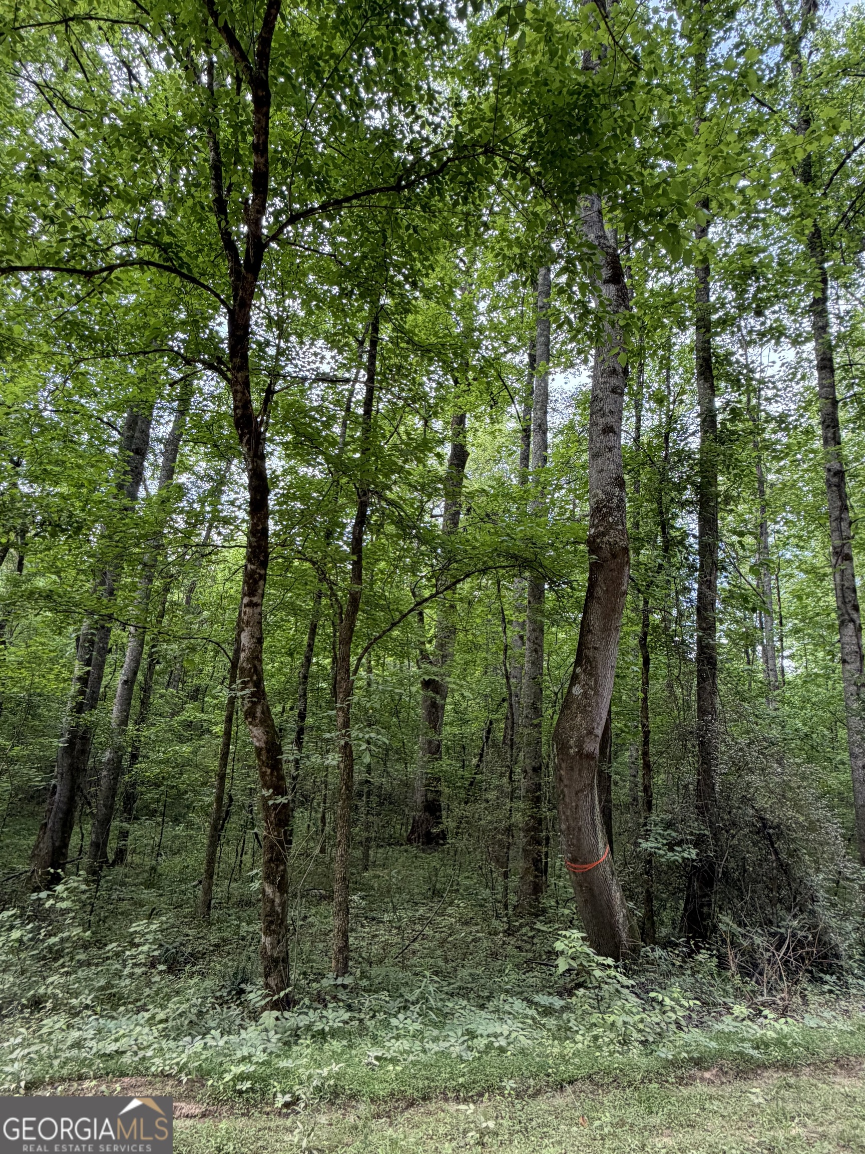 90-acres English Road Forsyth, GA 31029 - Photo 52 of 55