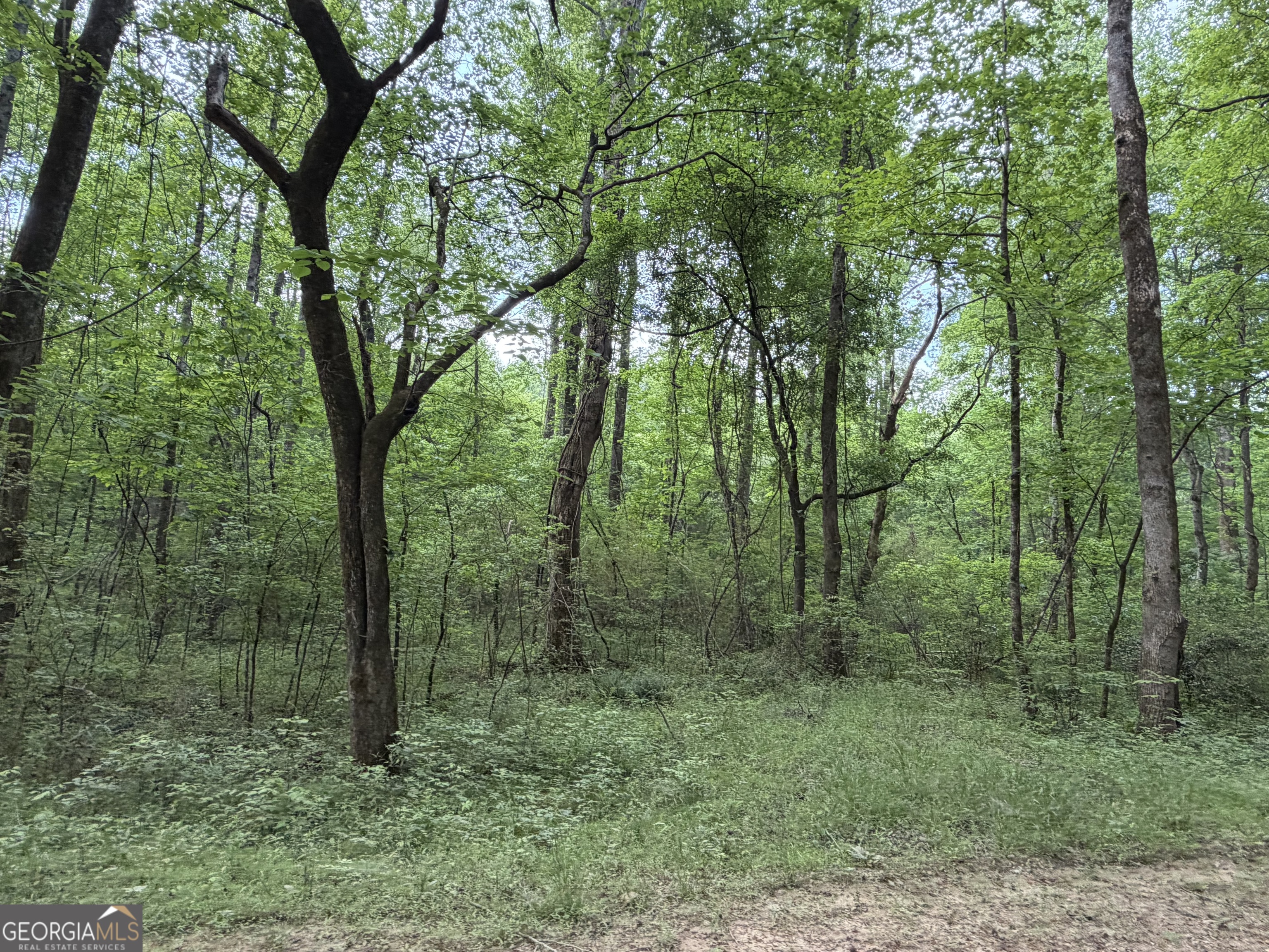 90-acres English Road Forsyth, GA 31029 - Photo 53 of 55