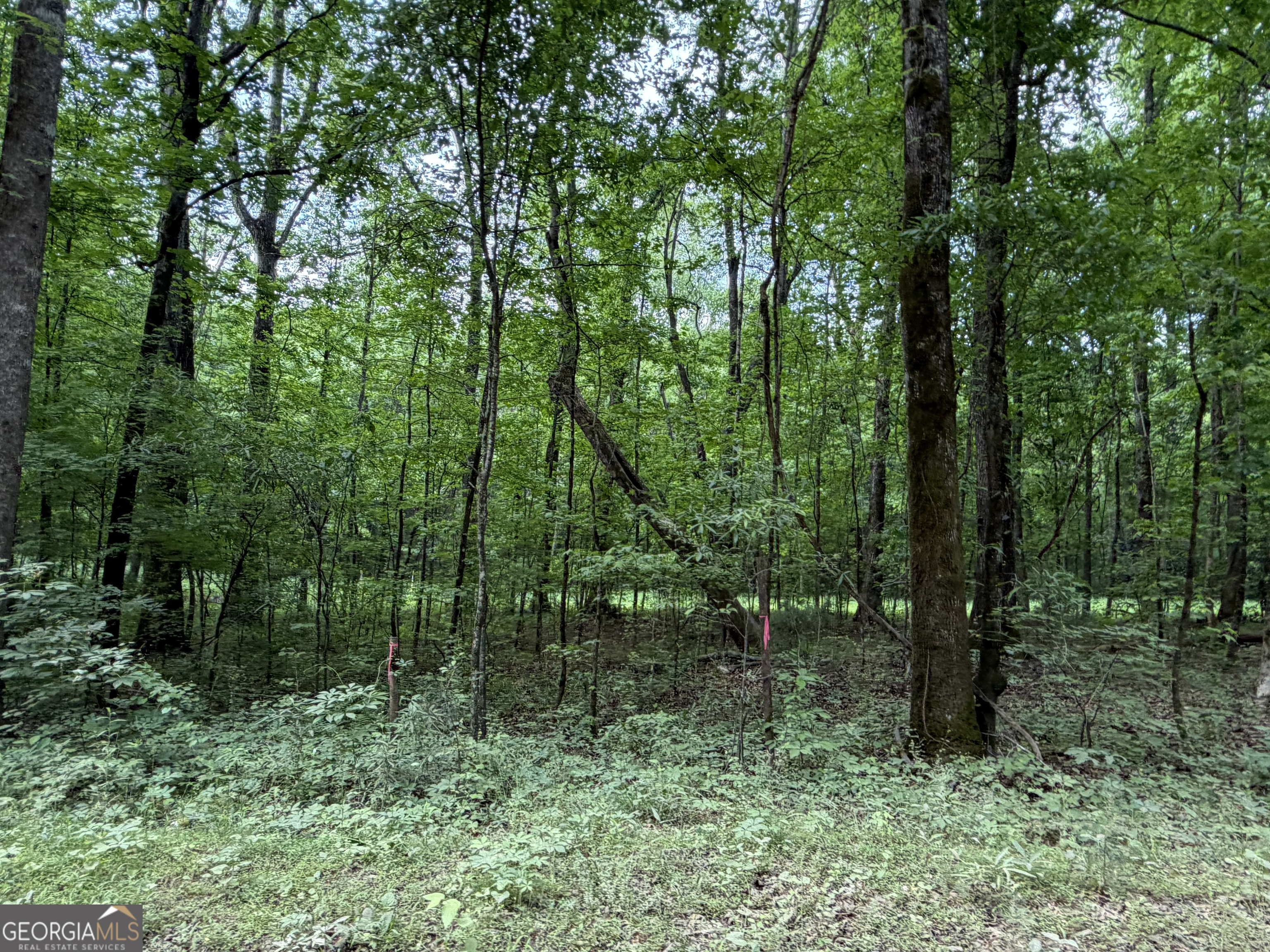 90-acres English Road Forsyth, GA 31029 - Photo 54 of 55