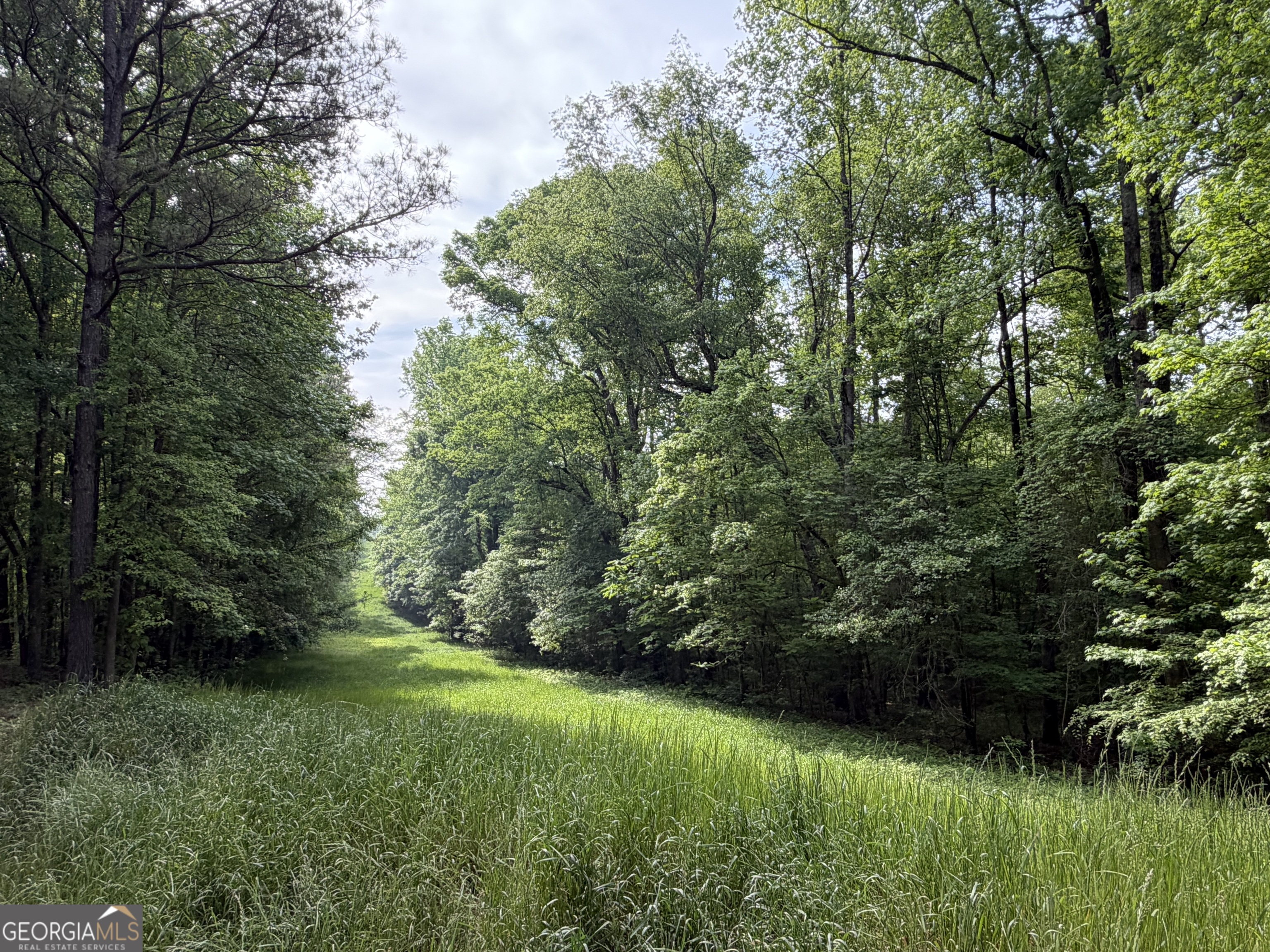 90-acres English Road Forsyth, GA 31029 - Photo 55 of 55