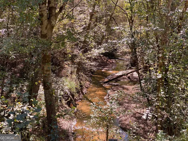 a view of outdoor space with lots of trees