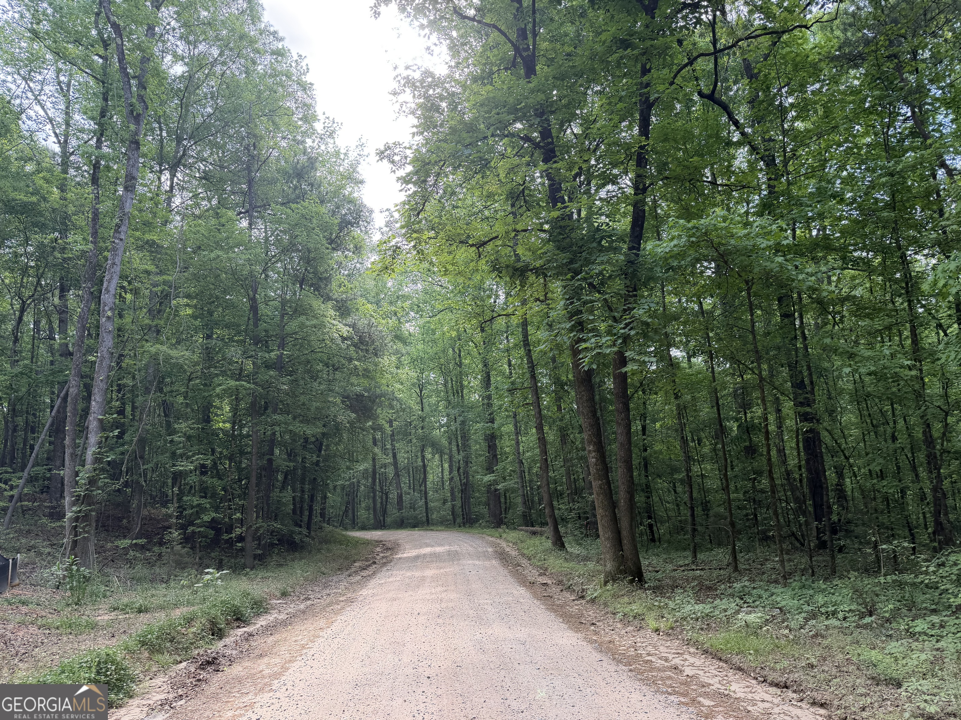 90-acres English Road Forsyth, GA 31029 - Photo 7 of 55