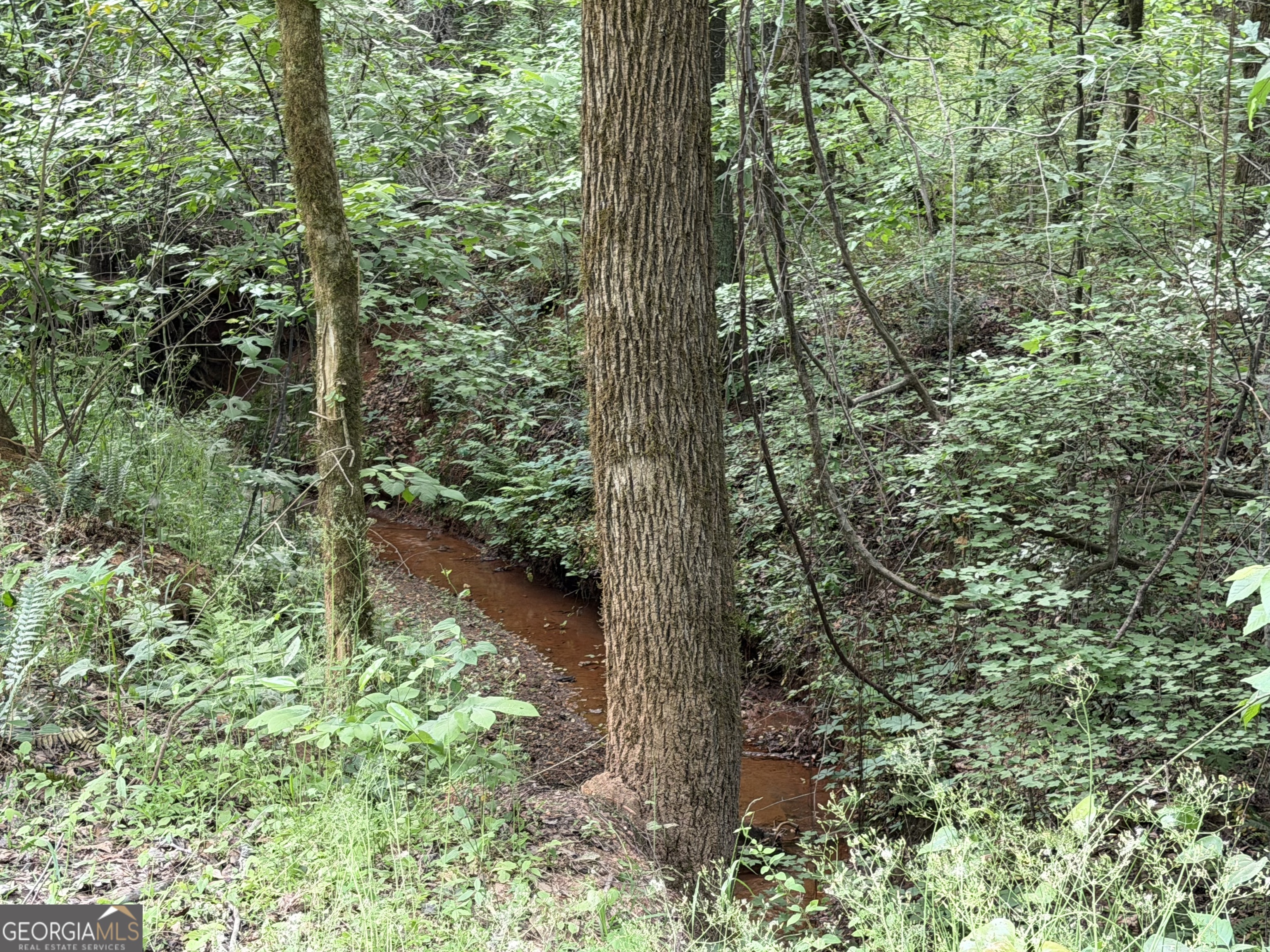 90-acres English Road Forsyth, GA 31029 - Photo 9 of 55