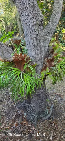 $315,000 | 6235 Treetop Drive, Melbourne Beach, FL 32951