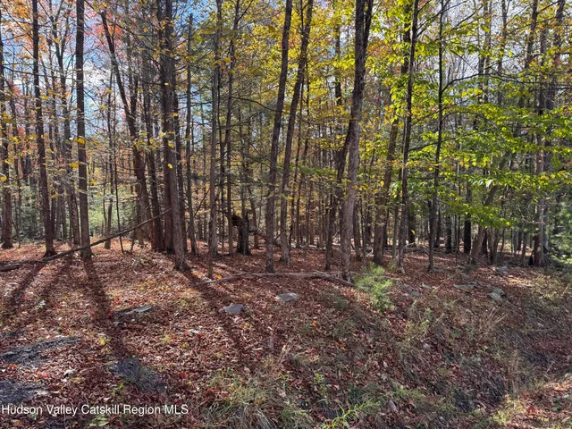 $139,000 | Tbd Cross Patch Road, Willow, NY 12495
