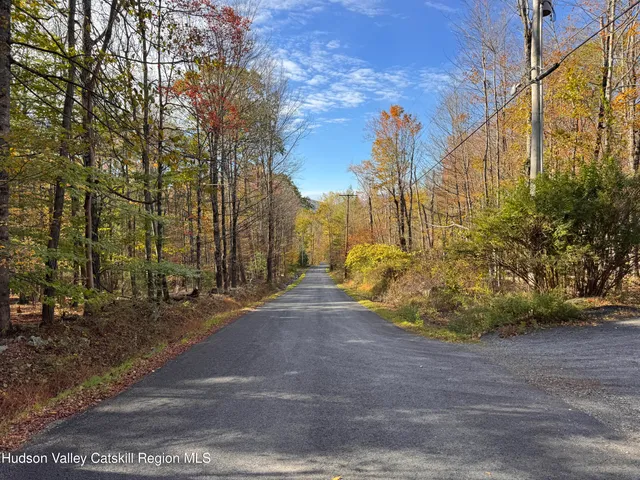 $139,000 | Tbd Cross Patch Road, Willow, NY 12495
