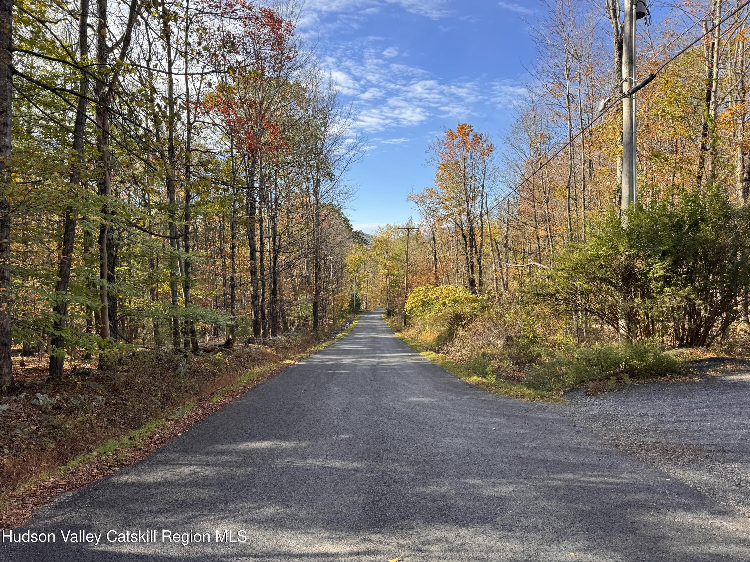 Tbd Cross Patch Road Willow, NY 12495 - Photo 11 of 11 a view of a street with large trees