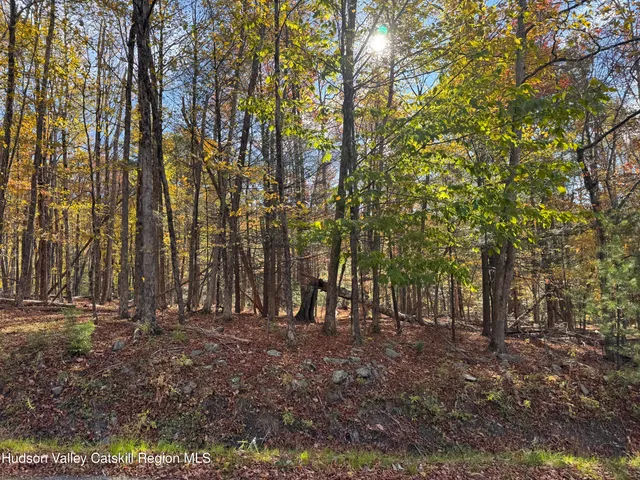 $139,000 | Tbd Cross Patch Road, Willow, NY 12495