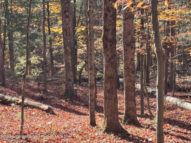 $139,000 | Tbd Cross Patch Road, Willow, NY 12495