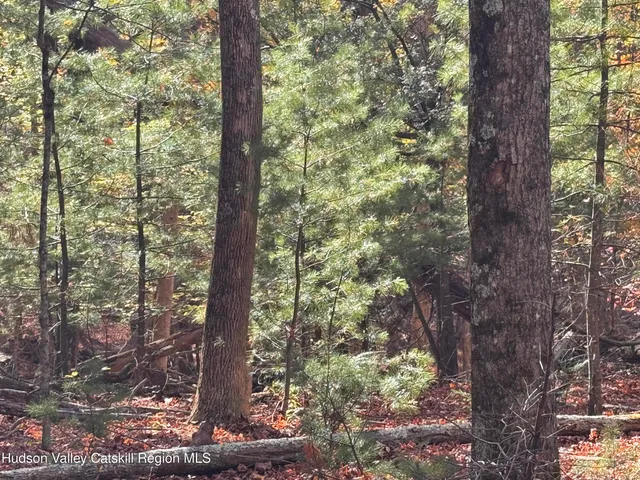 $139,000 | Tbd Cross Patch Road, Willow, NY 12495